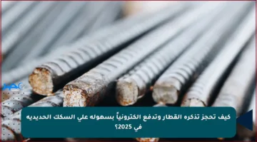 كيف تحجز تذكرة القطار وتدفع إلكترونياً بسهولة على السكك الحديدية في 2025؟